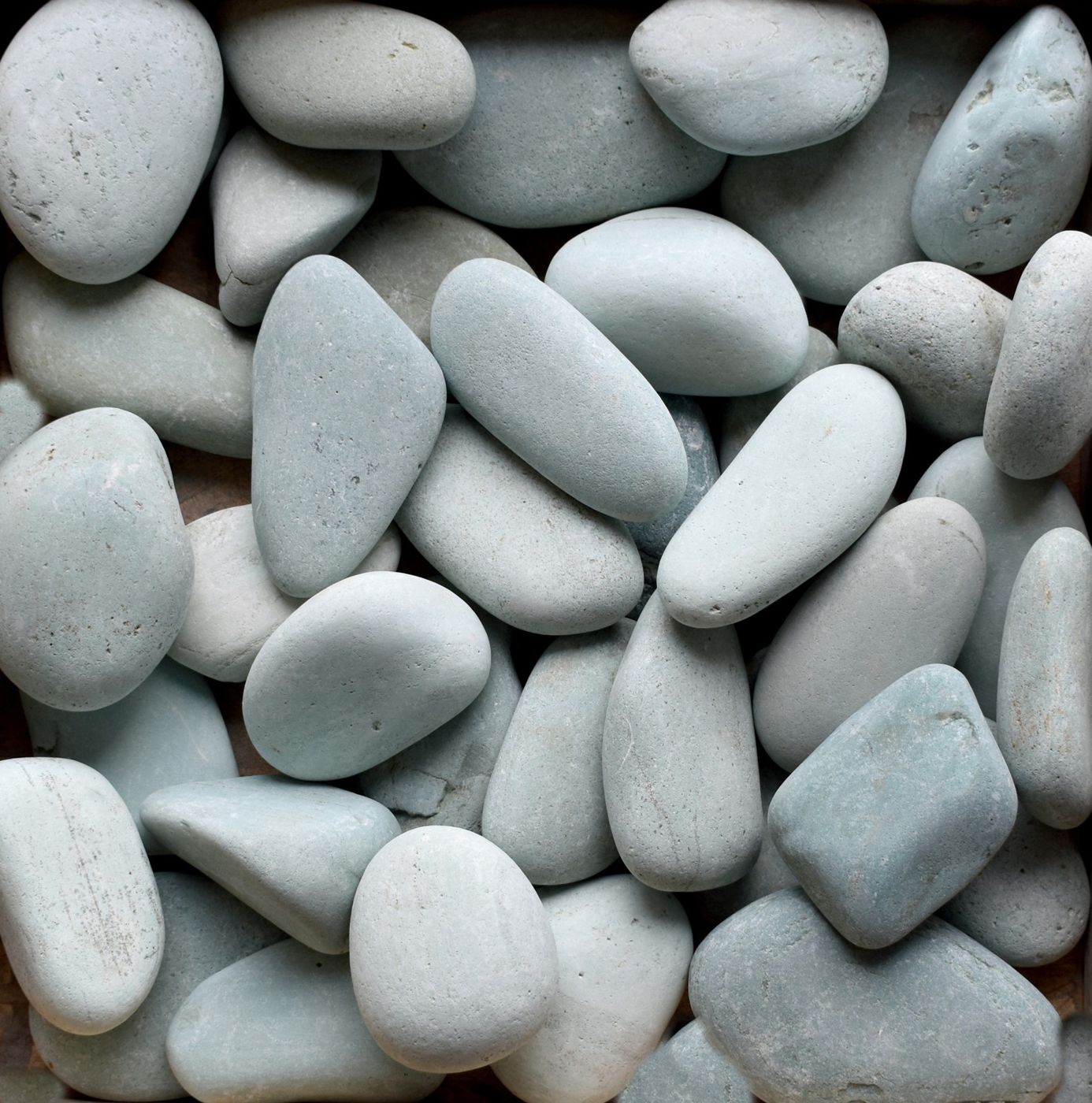 Green Seaside Beach Pebble