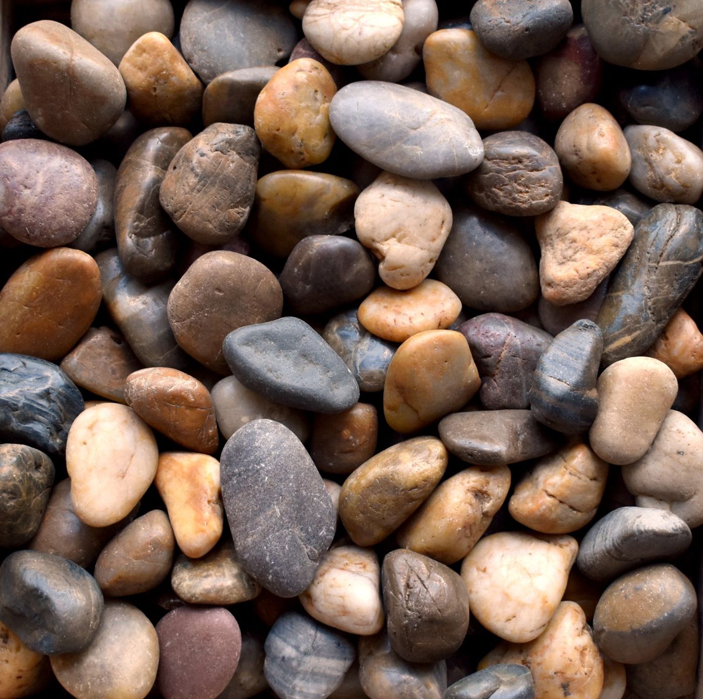 Mixed Polished Pebbles
